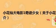 小花仙大电影1奇迹少女(关于小花仙大电影1奇迹少女的简介)