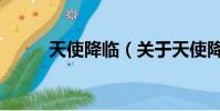 天使降临(关于天使降临的简介)