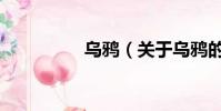 乌鸦(关于乌鸦的简介)