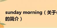 sunday morning(关于sunday morning的简介)