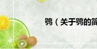 鸮(关于鸮的简介)
