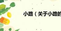 小路(关于小路的简介)