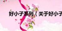 好小子系列(关于好小子系列的简介)