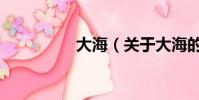 大海(关于大海的简介)