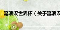 流浪汉世界杯(关于流浪汉世界杯的简介)