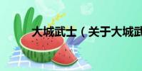 大城武士(关于大城武士的简介)