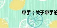 牵手(关于牵手的简介)