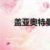 盖亚奥特曼（关于盖亚奥特曼的简介）