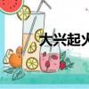 大兴起火（关于大兴起火的简介）