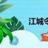 江城令（关于江城令的简介）