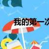 我的第一次（关于我的第一次的简介）