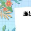 廉梦（关于廉梦的简介）