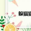 躲猫猫（关于躲猫猫的简介）