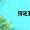 猜谜王（关于猜谜王的简介）