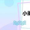 小薰（关于小薰的简介）