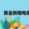 黄金新娘电视剧（关于黄金新娘电视剧的简介）
