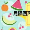 月陨回声（关于月陨回声的简介）