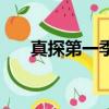真探第一季（关于真探第一季的简介）