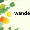 wander（关于wander的简介）