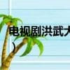 电视剧洪武大案（关于电视剧洪武大案的简介）