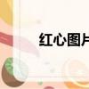 红心图片（关于红心图片的简介）