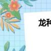 龙种（关于龙种的简介）