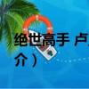 绝世高手 卢正雨（关于绝世高手 卢正雨的简介）