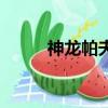 神龙帕夫（关于神龙帕夫的简介）
