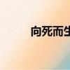 向死而生（关于向死而生的简介）