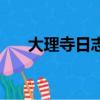大理寺日志（关于大理寺日志的简介）
