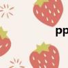 ppl（关于ppl的简介）