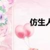 仿生人（关于仿生人的简介）
