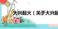 大兴起火(关于大兴起火的简介)