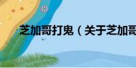 芝加哥打鬼(关于芝加哥打鬼的简介)