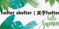 helter skelter(关于helter skelter的简介)