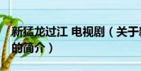 新猛龙过江 电视剧(关于新猛龙过江 电视剧的简介)
