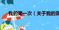 我的第一次(关于我的第一次的简介)