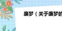 廉梦(关于廉梦的简介)