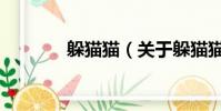 躲猫猫(关于躲猫猫的简介)