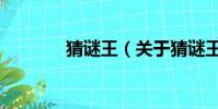 猜谜王(关于猜谜王的简介)