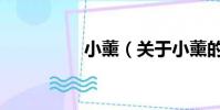 小薰(关于小薰的简介)