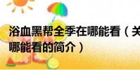 浴血黑帮全季在哪能看(关于浴血黑帮全季在哪能看的简介)