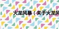 火龙风暴(关于火龙风暴的简介)