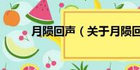 月陨回声(关于月陨回声的简介)