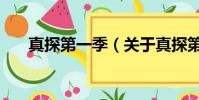 真探第一季(关于真探第一季的简介)