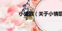 小情歌(关于小情歌的简介)