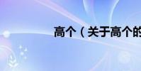高个(关于高个的简介)
