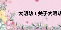 大明劫(关于大明劫的简介)