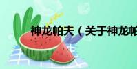 神龙帕夫(关于神龙帕夫的简介)