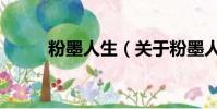 粉墨人生(关于粉墨人生的简介)